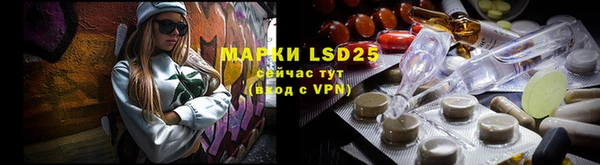mdpv Снежинск