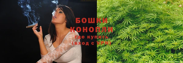 не бодяженный Снежногорск